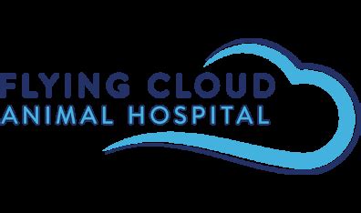 Flying cloud animal hospital - Flying Cloud Animal Hospital · January 2, 2019 · January 2, 2019 ·